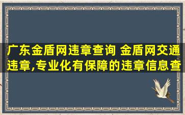 广东金盾网违章查询 金盾网交通违章,专业化有保障的违章信息查询网站